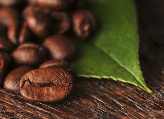 Região Sudeste produz 86% dos Cafés do Brasil na safra 2023