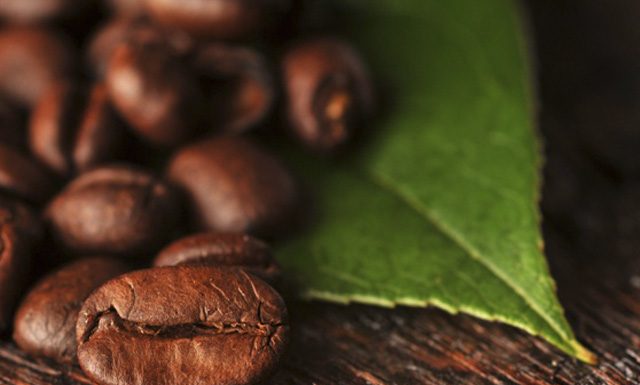Presidente do CNC acredita que oferta do café não será afetada com novo vírus