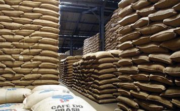 IBGE reduz estimativa de safra de café do Brasil em 2020