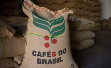 Embarques mundiais de café conilon caem 3,4% ante junho de 2018, informa OIC