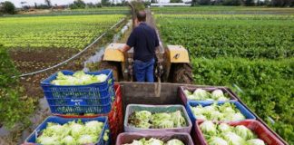 Inscreva-se no Seminário Estadual de Comercialização de Produtos da Agricultura Familiar