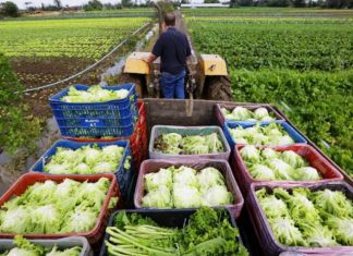 Últimos dias para declarar ITR