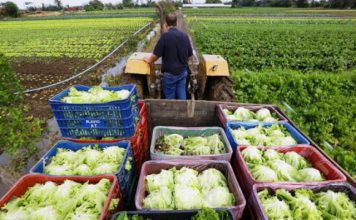 Últimos dias para declarar ITR