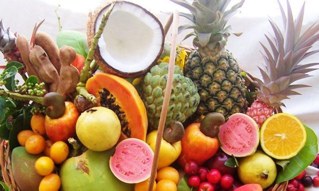 Senar lança Curso Técnico em Fruticultura gratuito