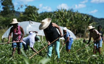 Secretário do Mapa anuncia novo cadastro da agricultura familiar para junho