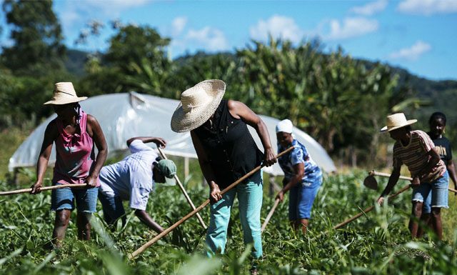 Senado aprova auxílio de R$ 600 para agricultores