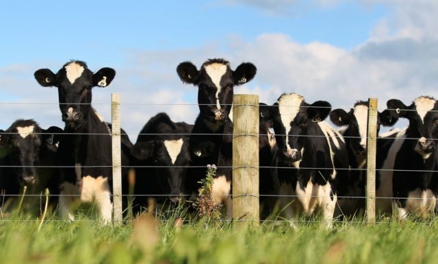 IC-Agro marca 111,3 pontos e indica otimismo