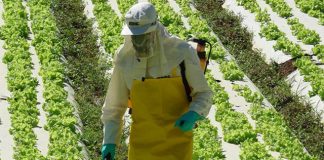 Registrados mais 63 defensivos agrícolas, com genéricos e produtos mais modernos