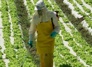 Anvisa aprova novo marco regulatório dos defensivos agrícolas