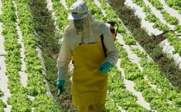 Registrados mais 63 defensivos agrícolas, com genéricos e produtos mais modernos