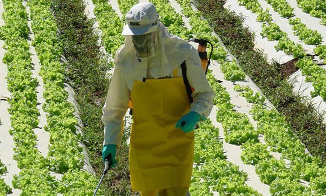 Registrados mais 63 defensivos agrícolas, com genéricos e produtos mais modernos