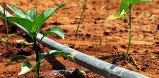 Agricultores se mobilizam para votação de PL que isenta cobrança por uso da água