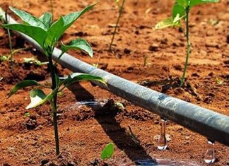 Agricultores se mobilizam para votação de PL que isenta cobrança por uso da água