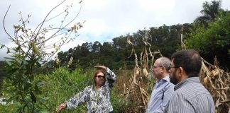 Agroecologia, culturas alimentares e floricultura são destaque em seminário de pesquisas da Fapes