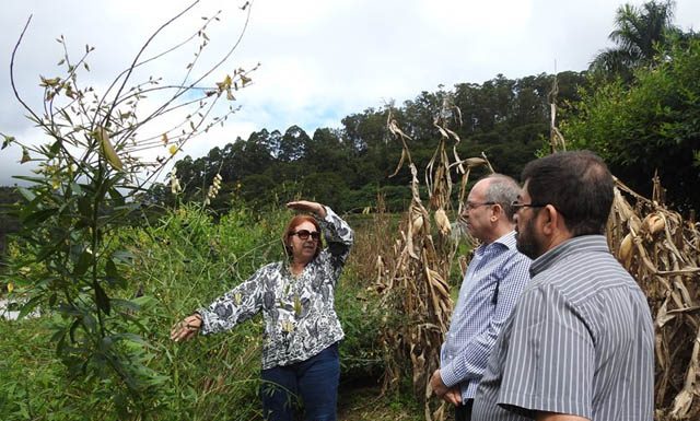 Agroecologia, culturas alimentares e floricultura são destaque em seminário de pesquisas da Fapes