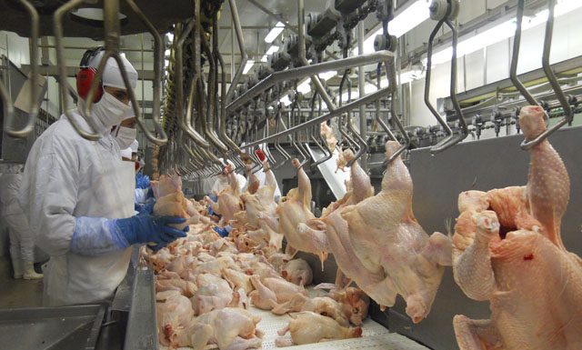 China eleva compra de carne de frango do Brasil