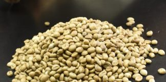 Cooabriel premia produtores de qualidade do café conilon