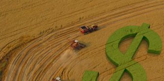 Agronegócio capixaba recebe impulso histórico com R$ 8,5 bilhões para crédito rural em 2024/25