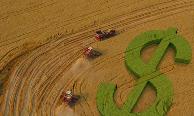 Governo Federal vai anunciar Plano Safra dia 27 de junho