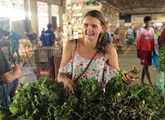 Mulheres ocupam mais espaços na agricultura
