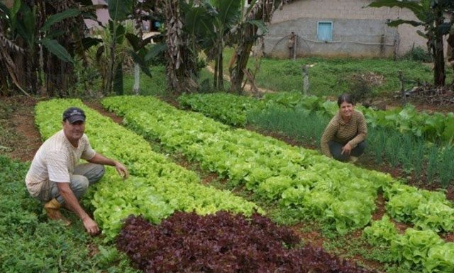 Agricultura familiar terá mais R$ 1 bilhão para investimento