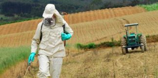 Defensivos Agrícolas – mitos e verdades