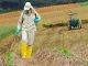 Defensivos Agrícolas – mitos e verdades