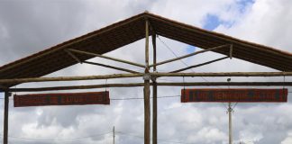 Feira da Coopeavi – Edição Conilon e Pecuária amanhã e sábado em Nova Venécia