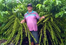 A conquista do Norte