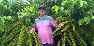 A conquista do Norte