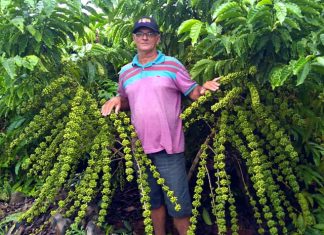 A conquista do Norte