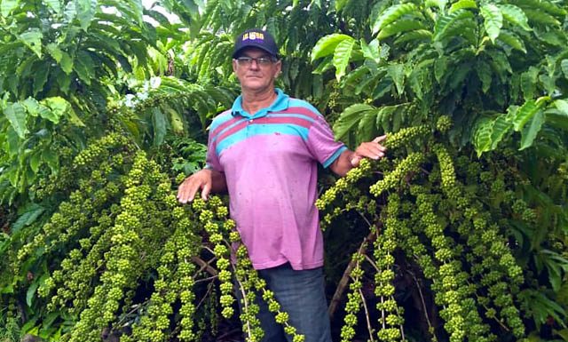 A conquista do Norte