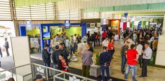 Feira da Coopeavi começa nesta terça (27) com oportunidades
