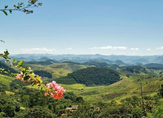Câmara aprova projeto que prevê pagamento por serviços ambientais