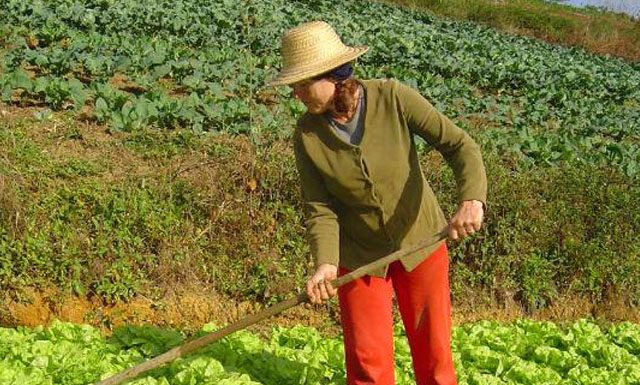 Pronaf: governo amplia possibilidade de acesso de cooperativas agro