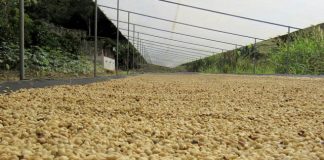 CNA busca prorrogar prazo de dívidas do Funcafé