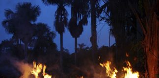 Uso do fogo fica proibido por 60 dias em todo território nacional