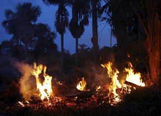 Uso do fogo fica proibido por 60 dias em todo território nacional