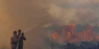 Portaria dispõe sobre suspensão de Autorização de Queima Controlada no Espírito Santo