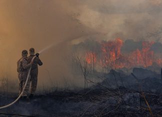 Número de incêndios florestais em Aracruz aumenta, prejudica o agro e liga sinal de alerta na região