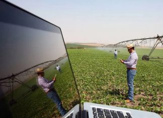 Cooperativas de crédito aumentam participação no financiamento do crédito rural