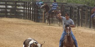 Lei reconhece modalidades equestres como Patrimônio Cultural brasileiro