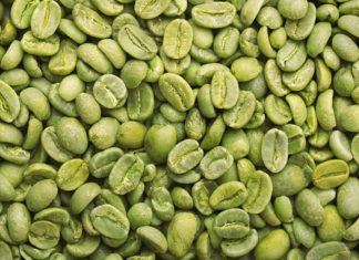 Exportação de café verde do Brasil cresce 11,5% em setembro, diz Cecafé