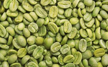 Exportação de café verde do Brasil cresce 11,5% em setembro, diz Cecafé
