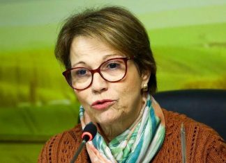 Ministra vê Brasil preparado para nova grande safra; sem decisão de apoio ao café