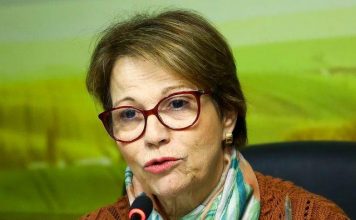 Ministra apresenta oportunidades de investimentos no Brasil