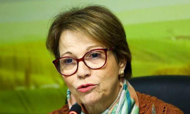 Ministra vê Brasil preparado para nova grande safra; sem decisão de apoio ao café