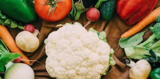 Rastreabilidade: todos os elos da cadeia precisam fazer sua parte