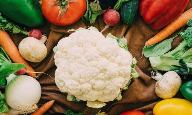 Rastreabilidade: todos os elos da cadeia precisam fazer sua parte