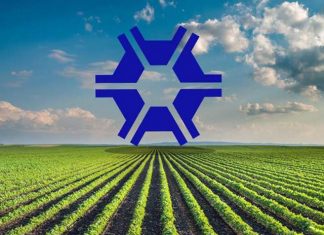 Novos horizontes na Agronomia: Encontro virtual reúne especialistas